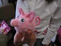 IMG_0170